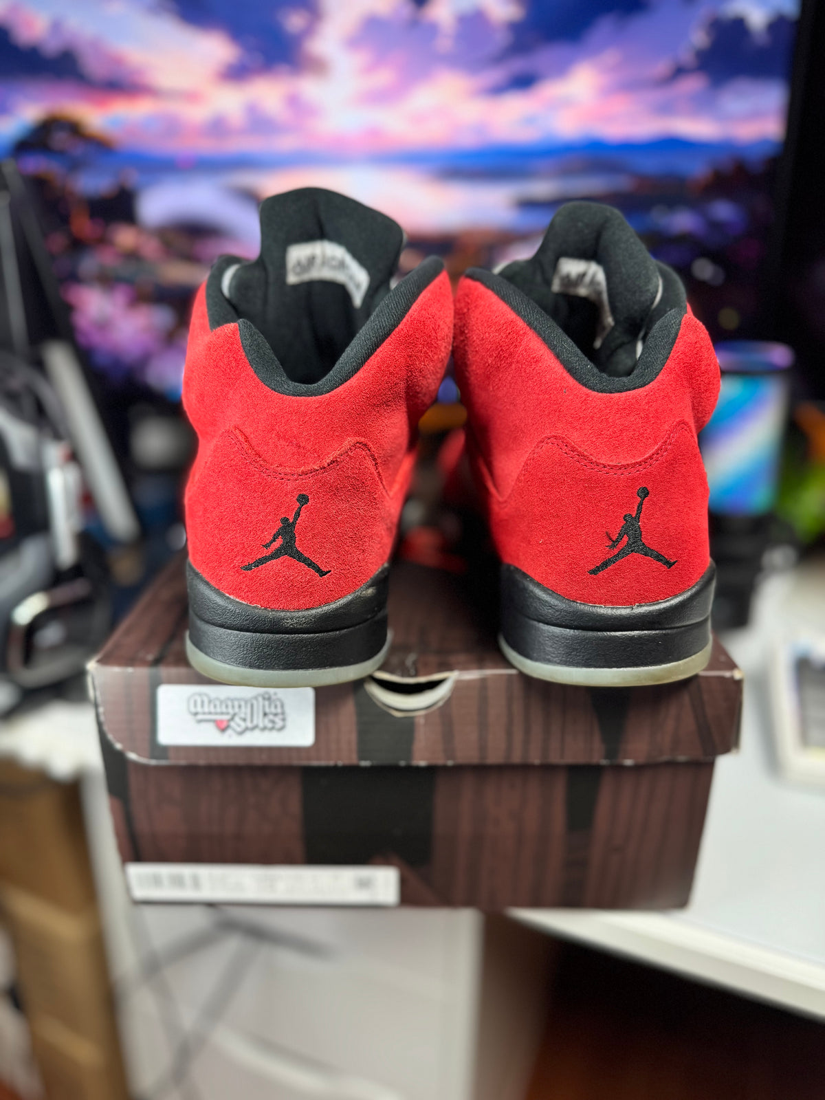 "Raging Bull" Air Jordan Retro 5
