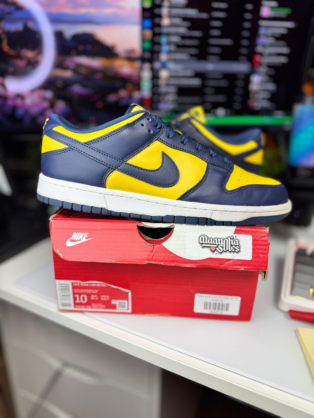 "Michigan" Nike Dunk Low