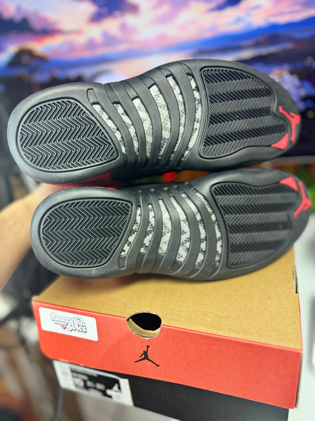 “Reverse Flu Game” Air Jordan Retro 12
