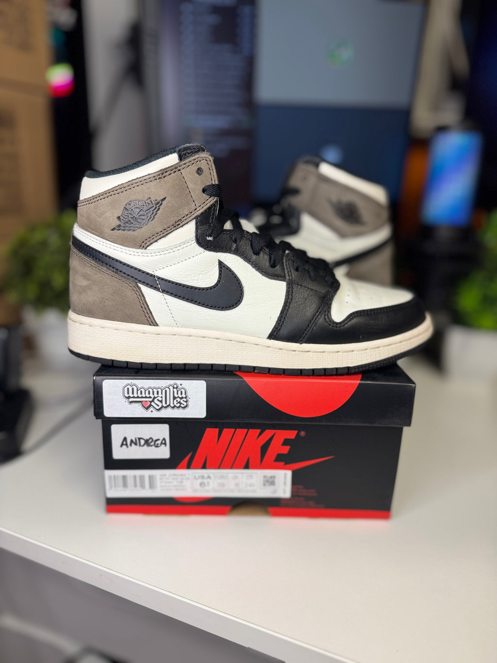 "Mocha" Air Jordan Retro 1 (GS)