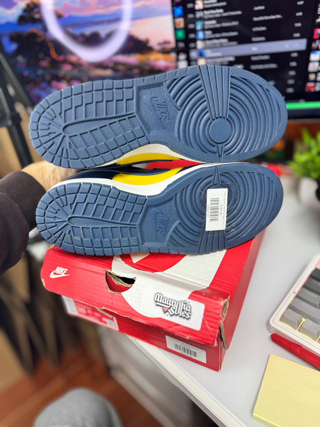 "Michigan" Nike Dunk Low
