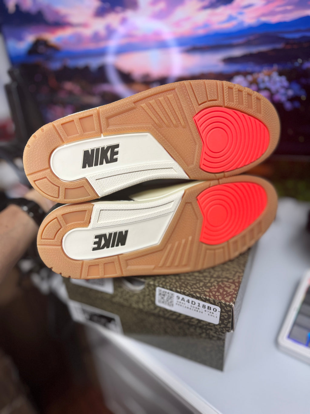 "Family Affair" Air Jordan Retro 3