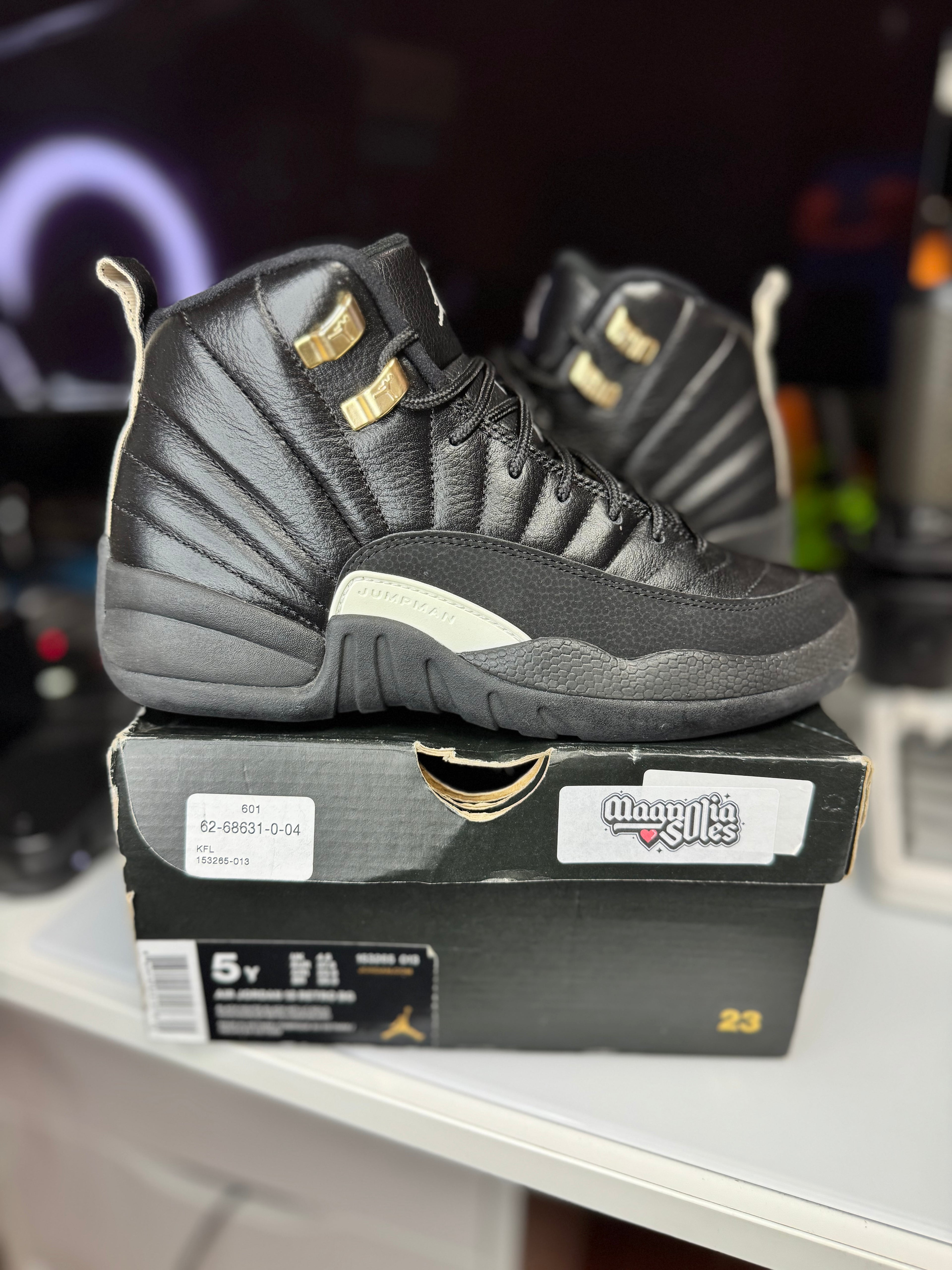 "Master" Air Jordan Retro 12 (GS)