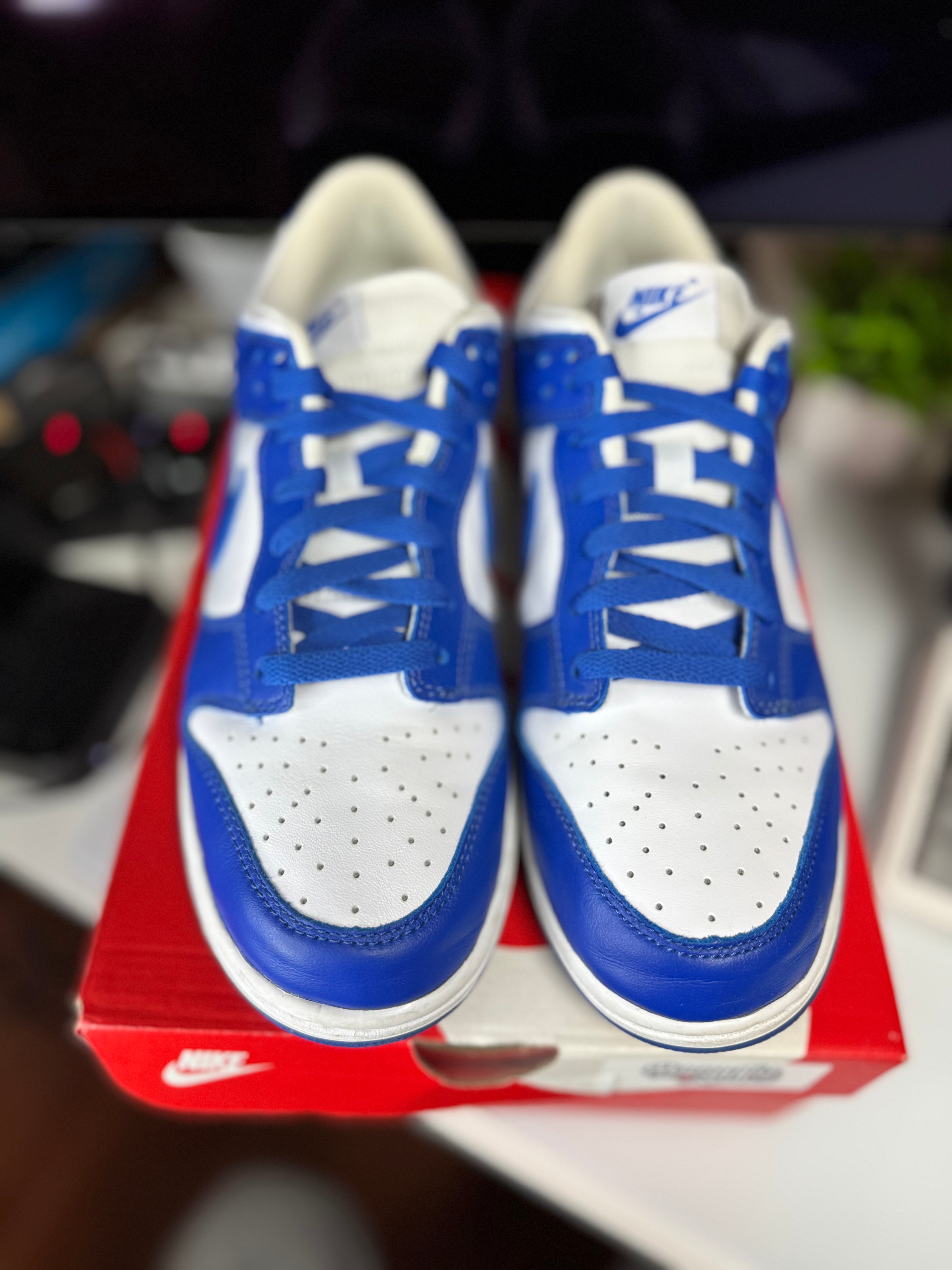 "Kentucky" Nike Dunk Low