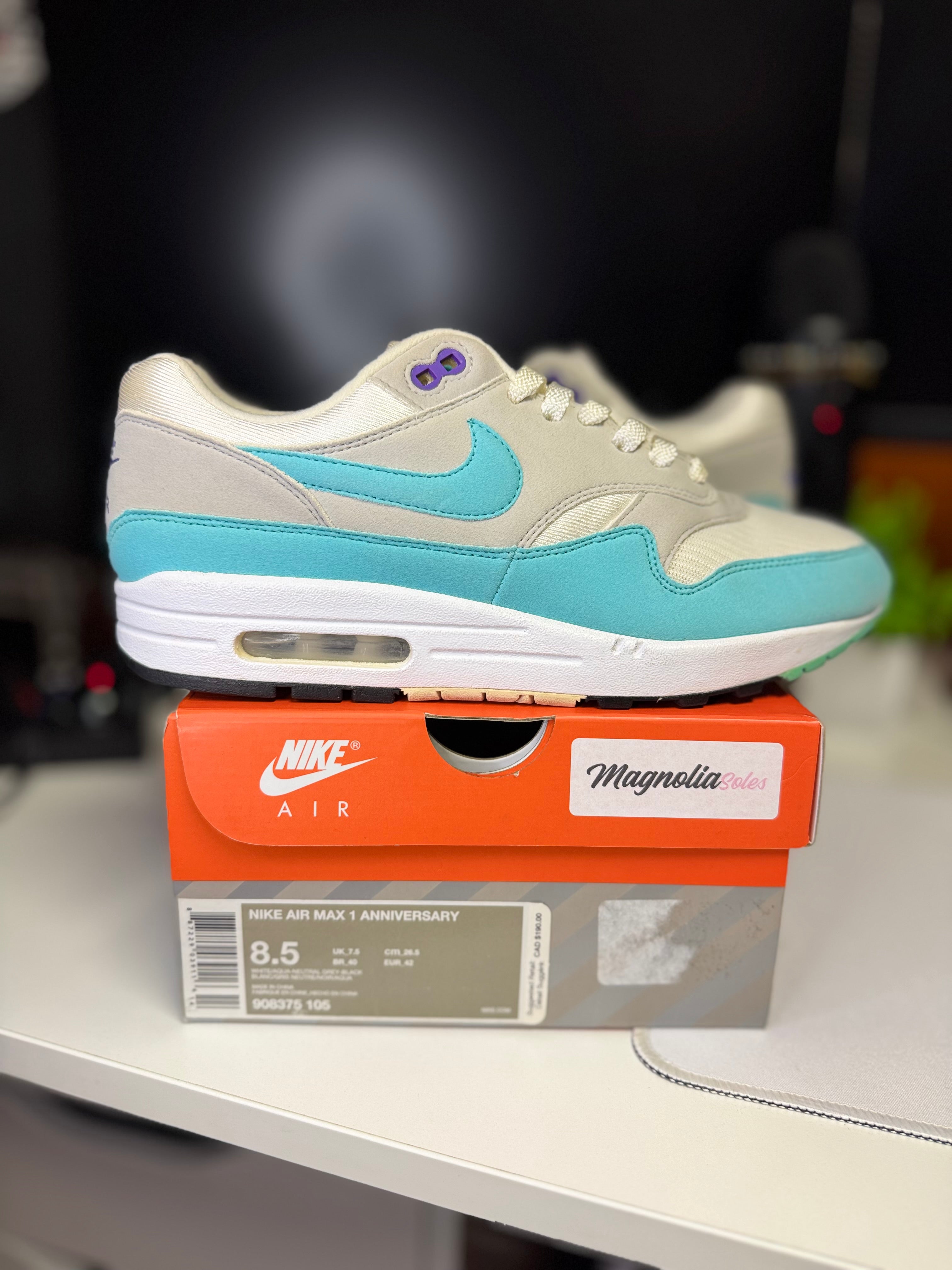 “Aqua” Nike Air Max 1 Anniversary