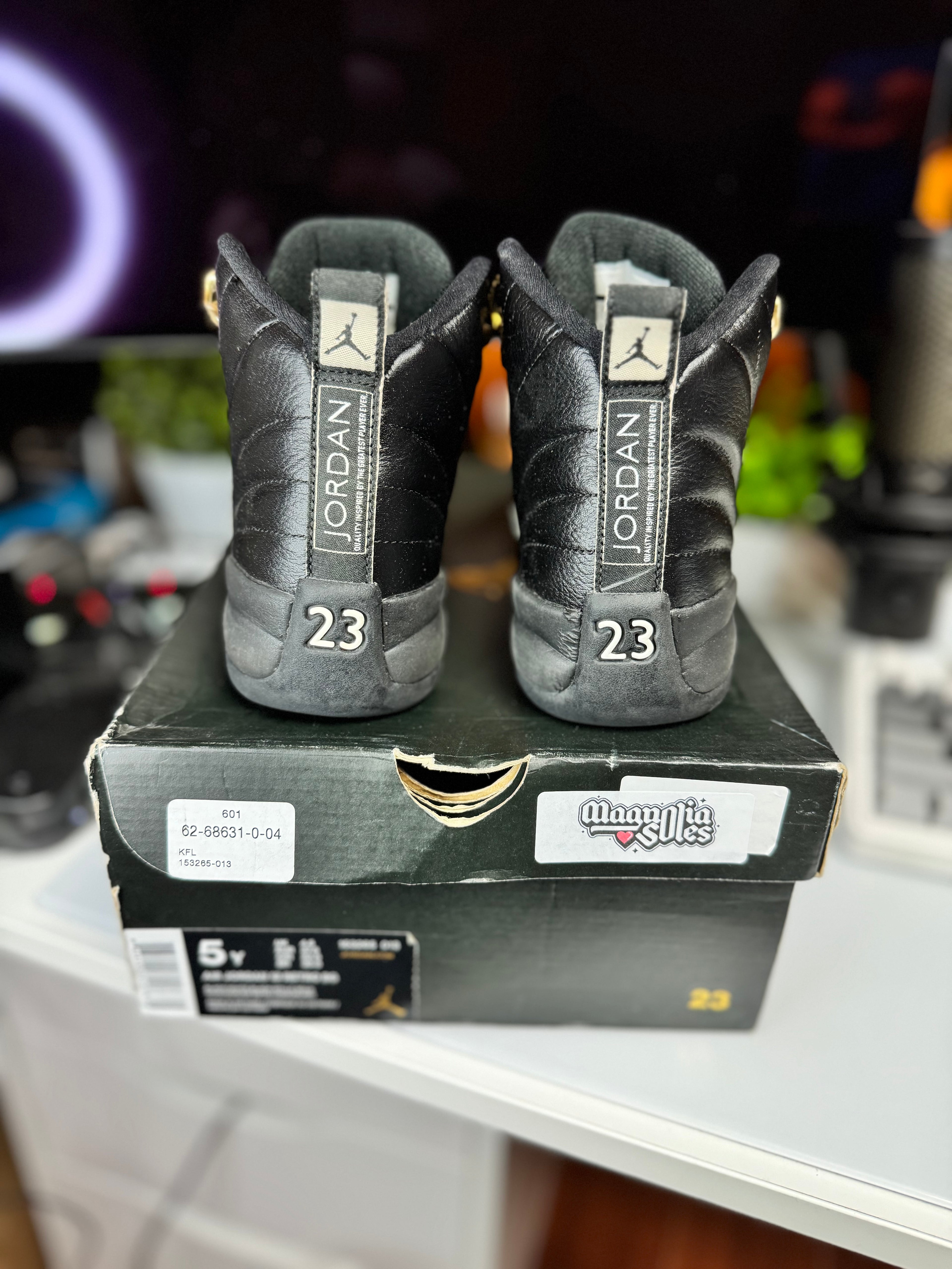 "Master" Air Jordan Retro 12 (GS)
