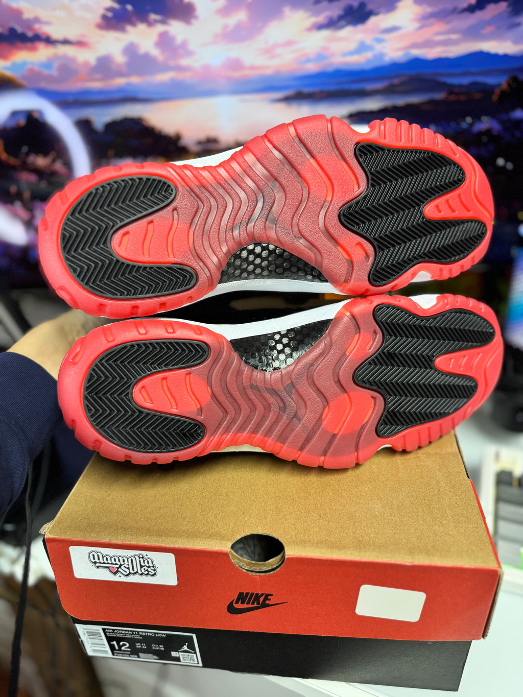 "Bred" Air Jordan Retro 11 Low