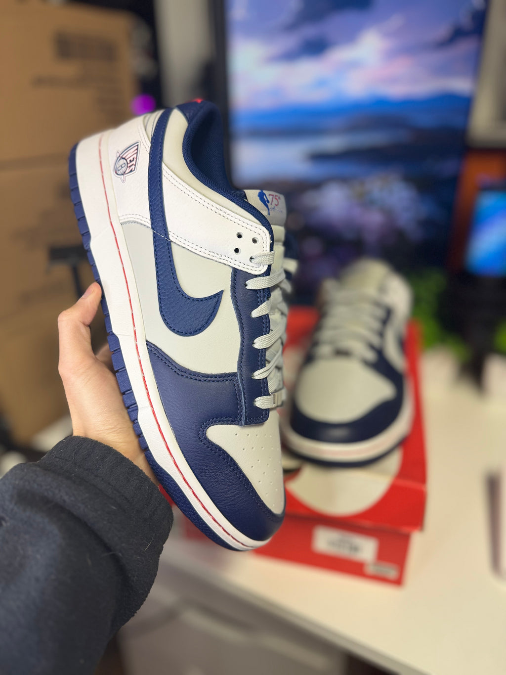 "Brooklyn Nets EMB" Nike Dunk Low