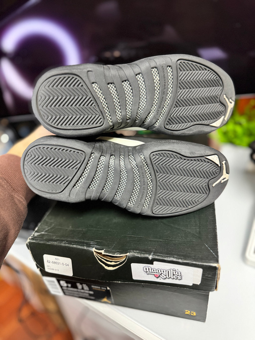 "Master" Air Jordan Retro 12 (GS)