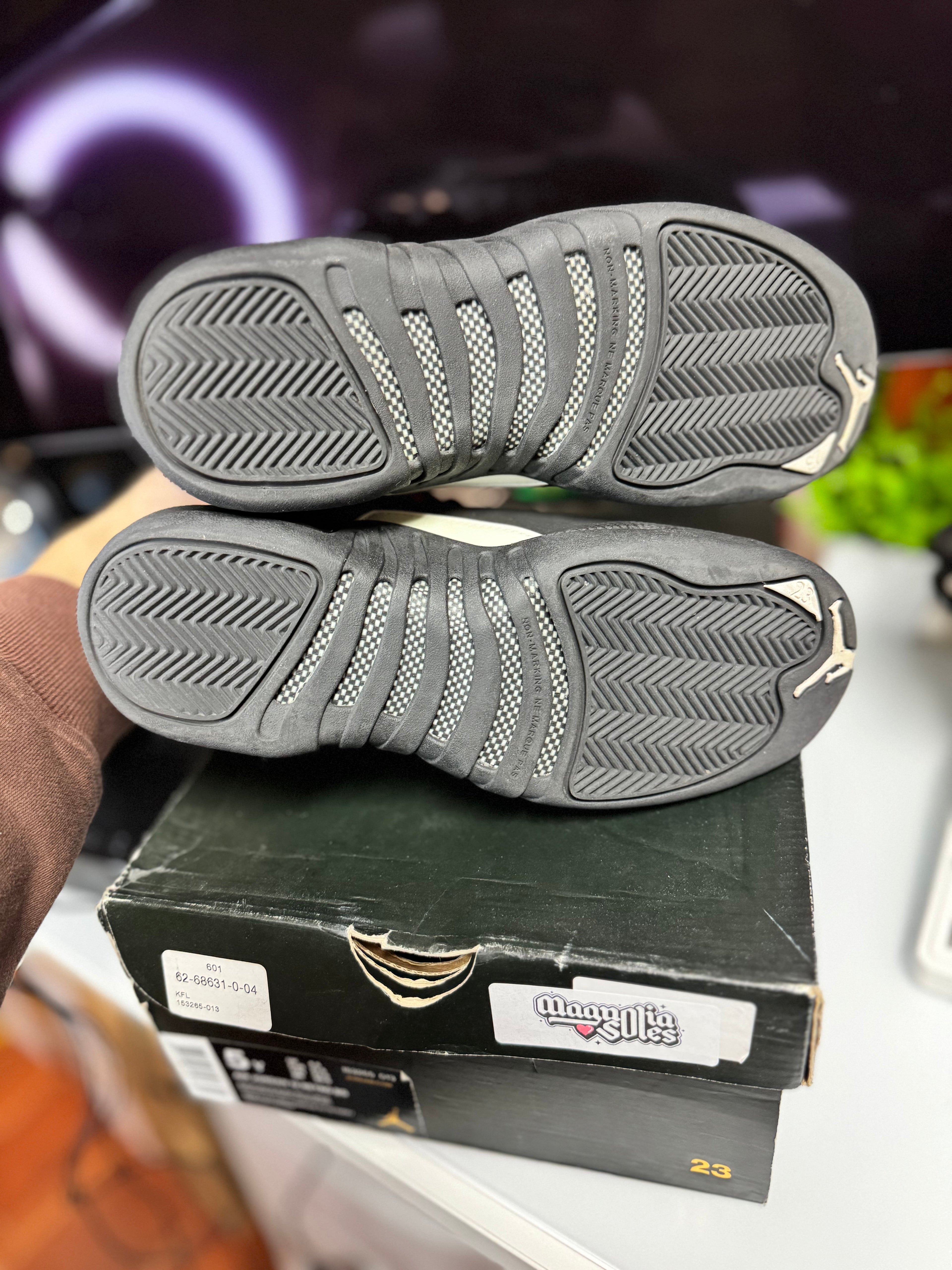 "Master" Air Jordan Retro 12 (GS)