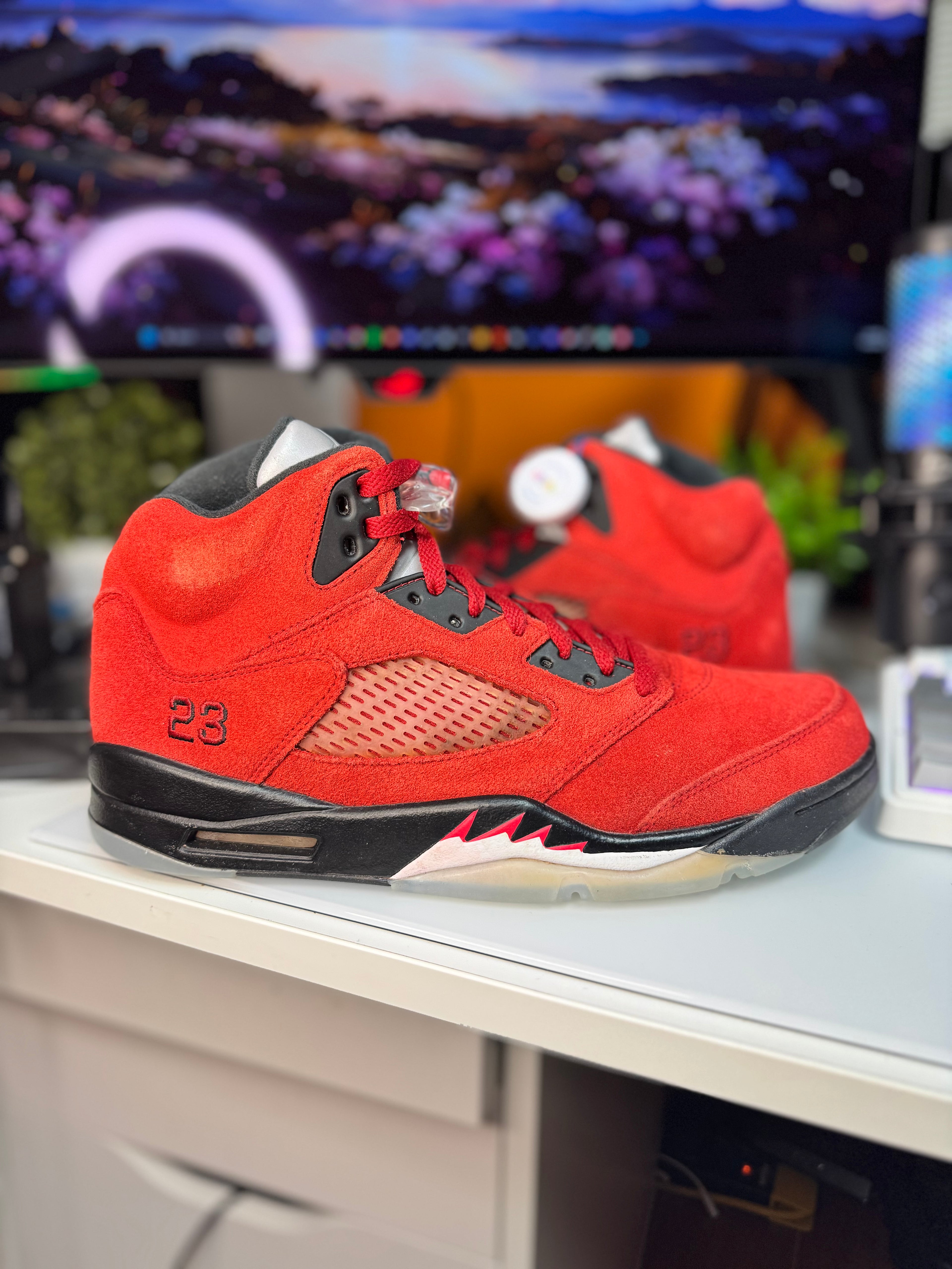 "Raging Bull" Air Jordan Retro 5