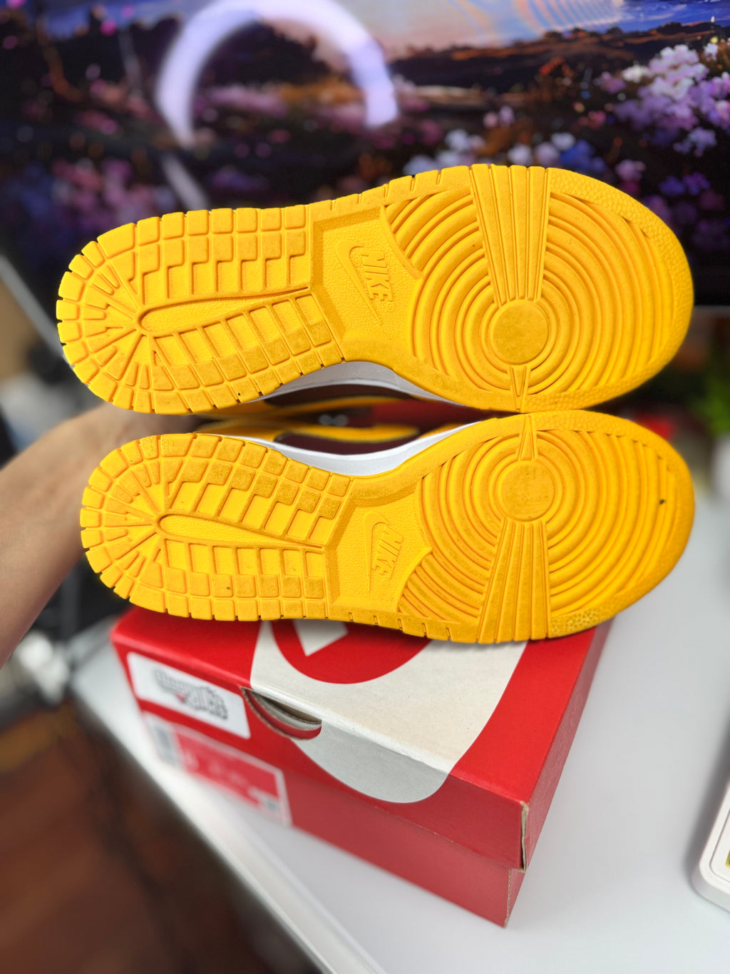 "Arizona State" Nike Dunk Low