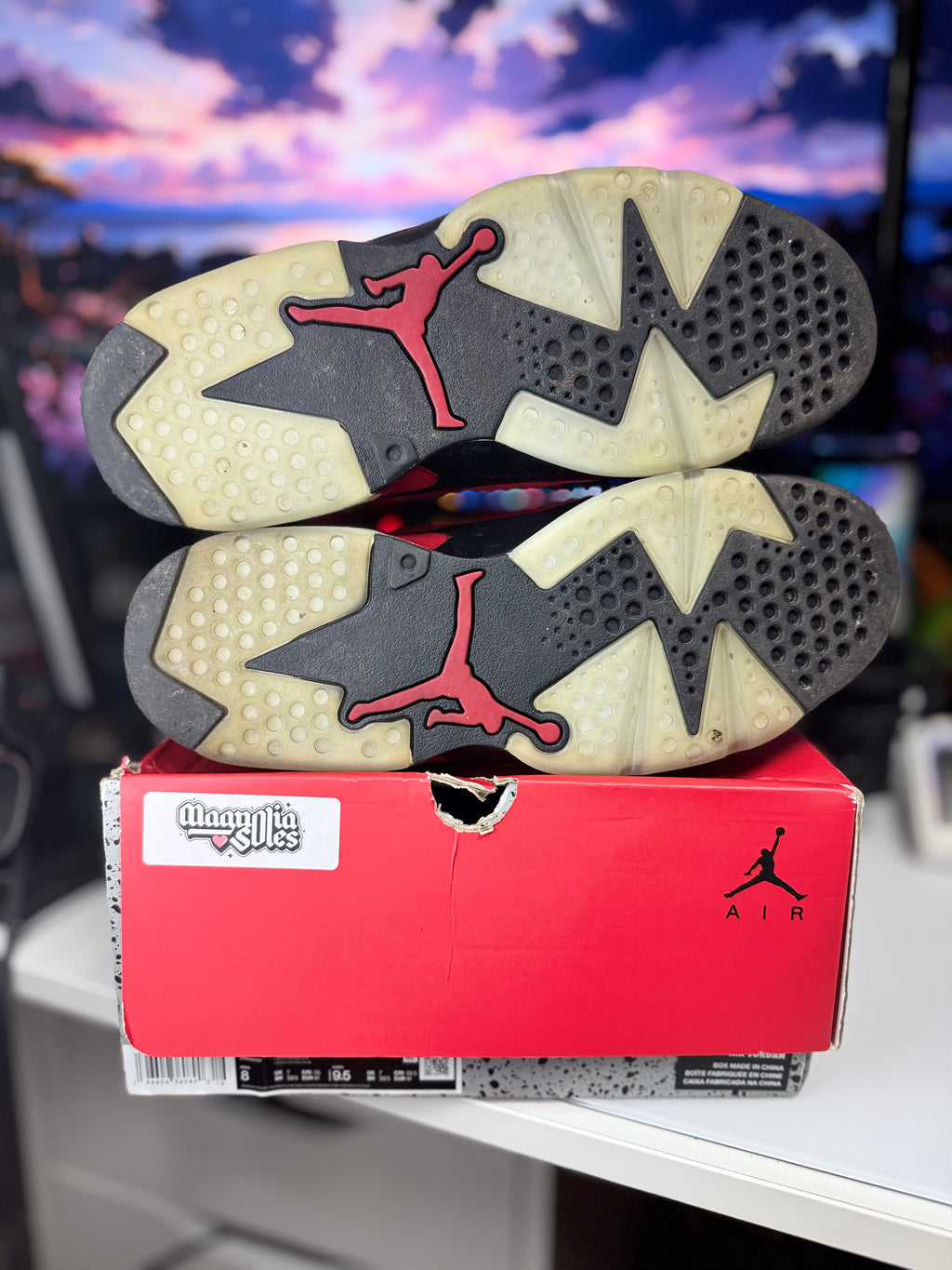 "Toro Bravo" Air Jordan Retro 6