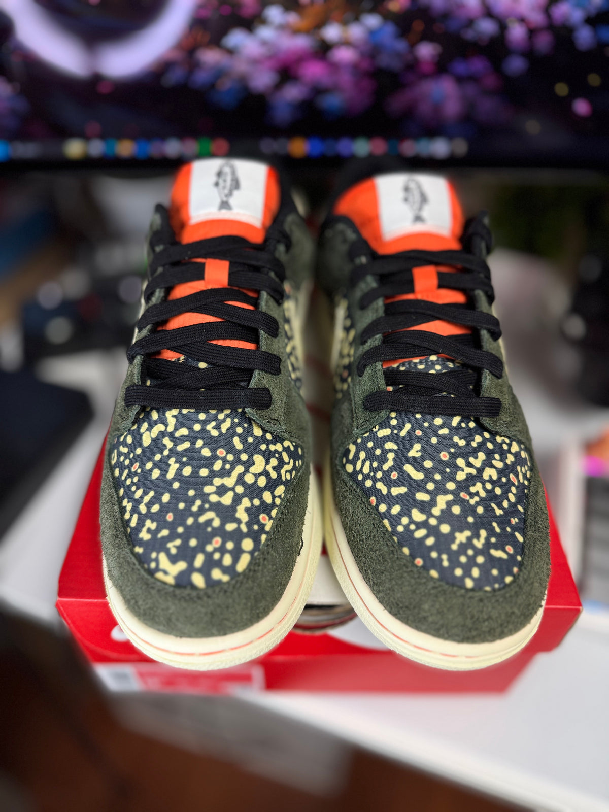 "Gone Fishing Rainbow Trout" Nike Dunk Low