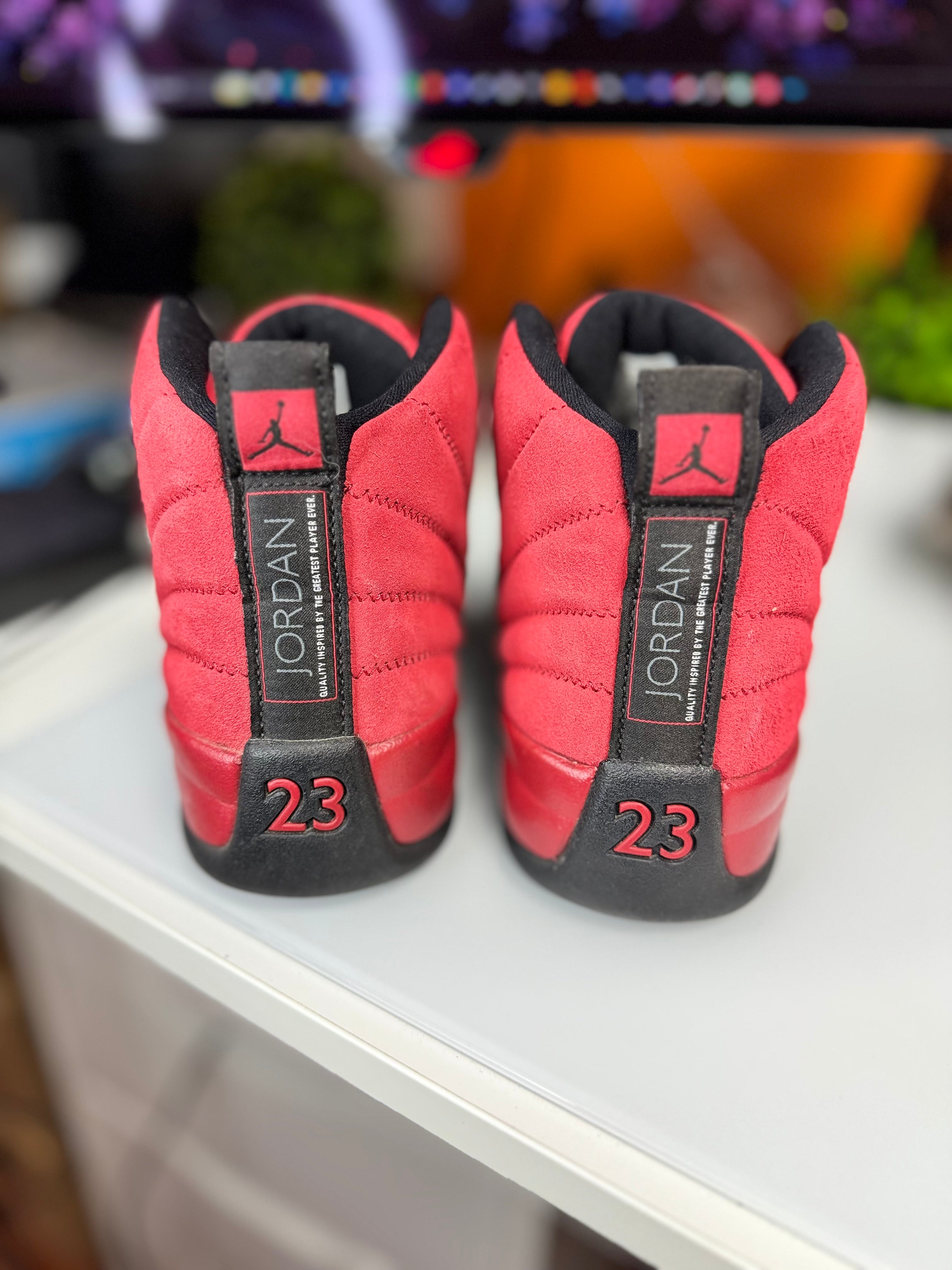 “Reverse Flu Game” Air Jordan Retro 12
