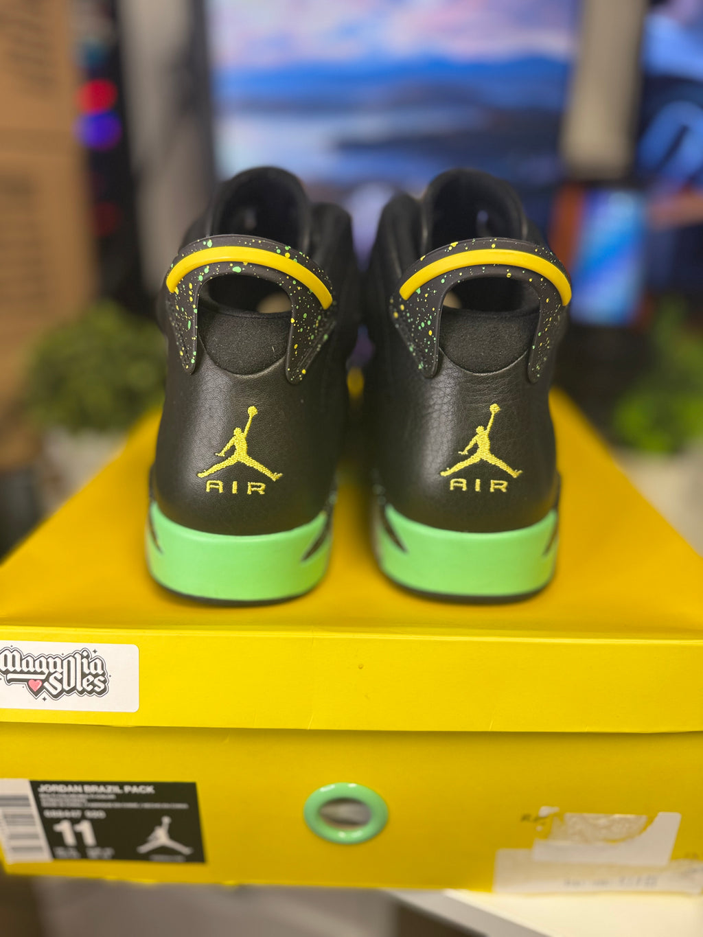 "Brazil" Air Jordan Retro 6