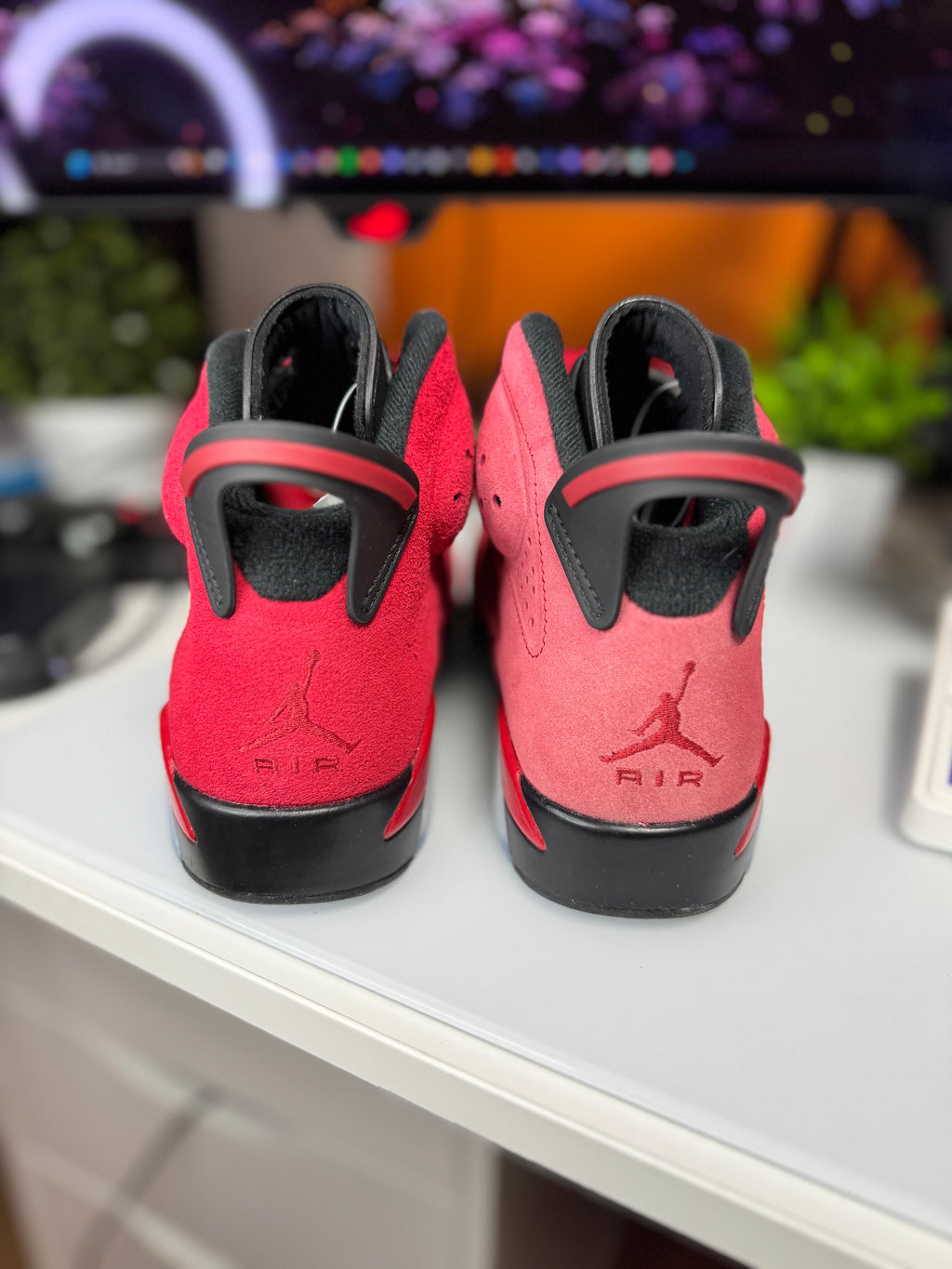 "Toro Bravo" AIr Jordan Retro 6