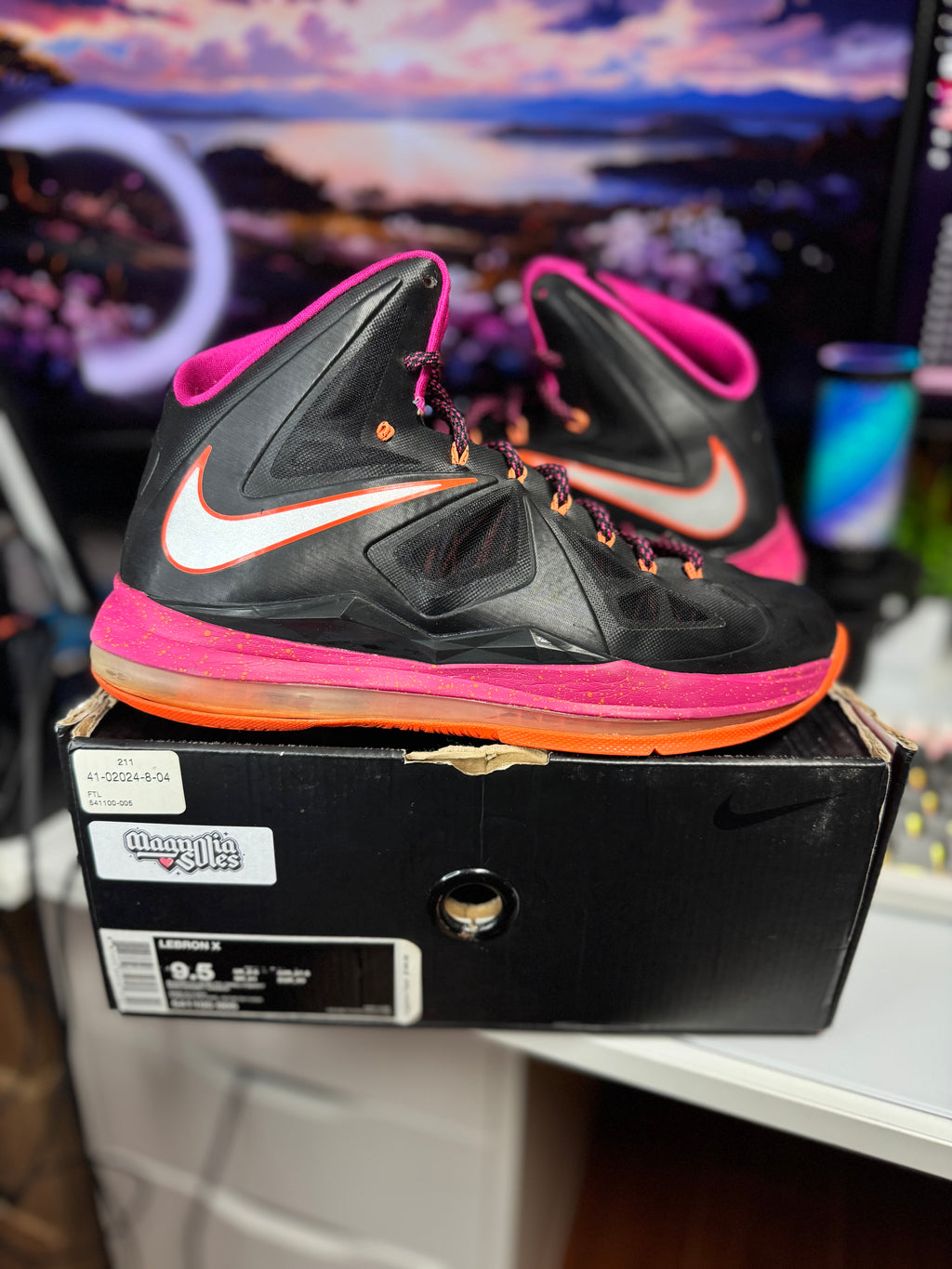 "Floridian" Nike Lebron X