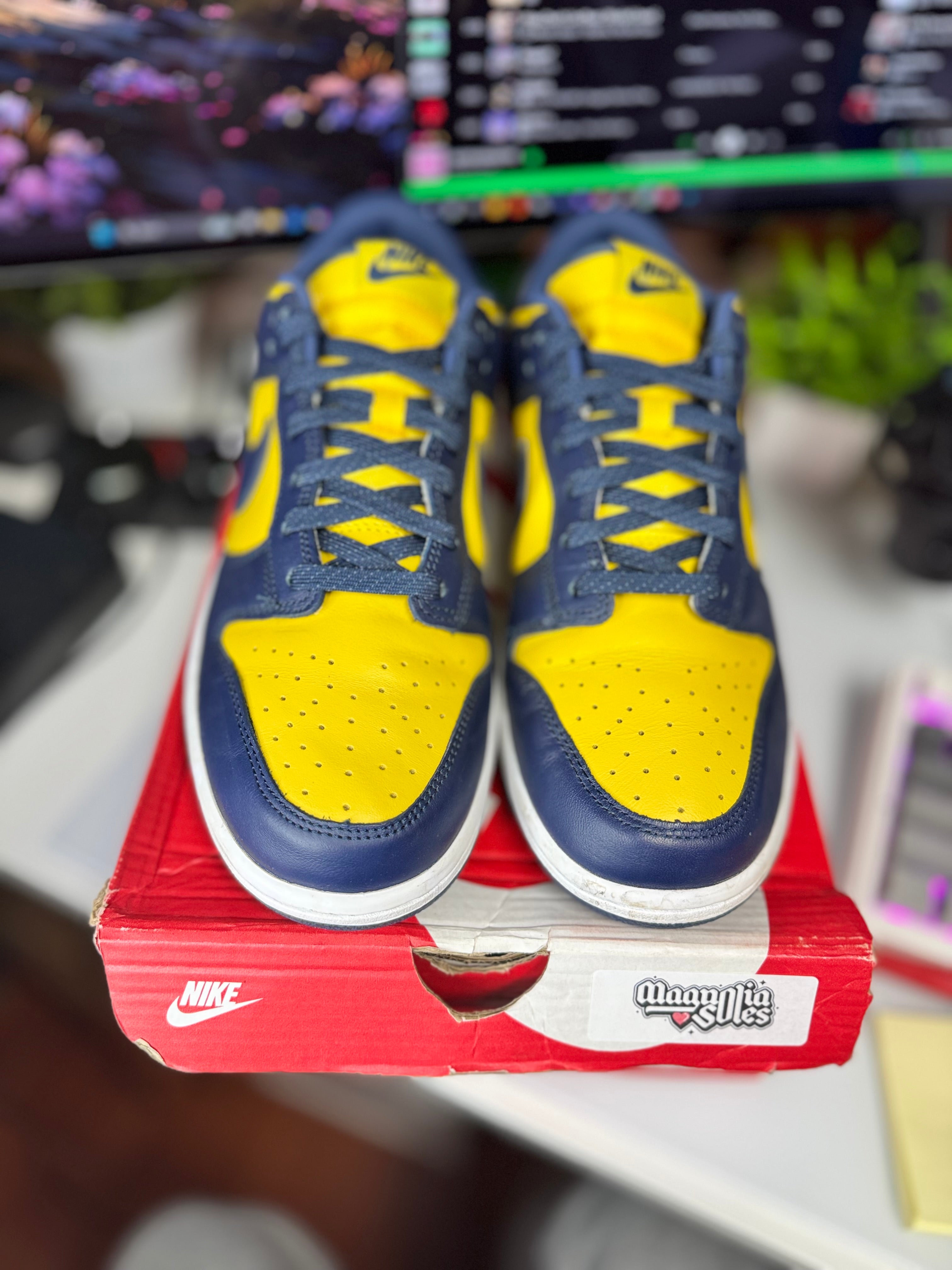 "Michigan" Nike Dunk Low